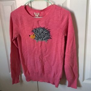 Hedgehog Sweater